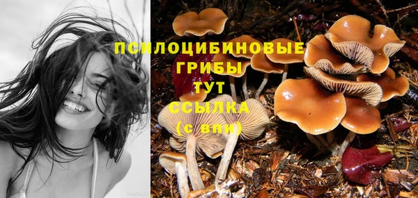 СК Абинск