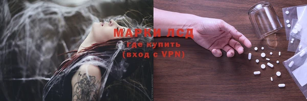 прущие грибы Кострома