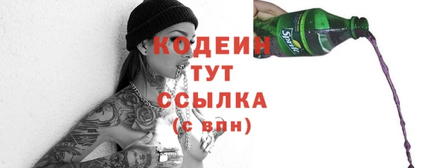 прущие грибы Кострома
