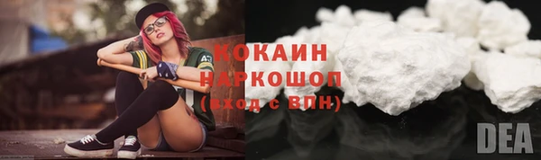 прущие грибы Кострома