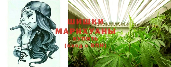 прущие грибы Кострома