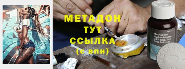 прущие грибы Кострома