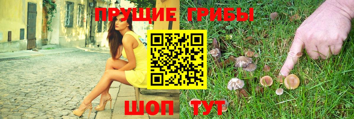 Псилоцибиновые грибы Cubensis Азнакаево